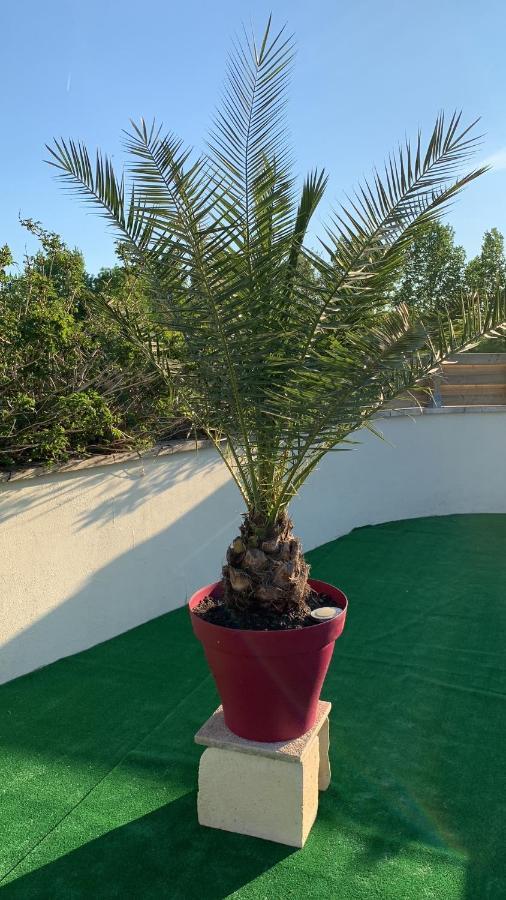 Le Jardin Des Hirondelles Acomodação com café da manhã Blanzaguet-Saint-Cybard Exterior foto